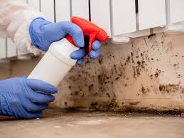 Best Industrial Mold Remediation  in Ramsey, NJ